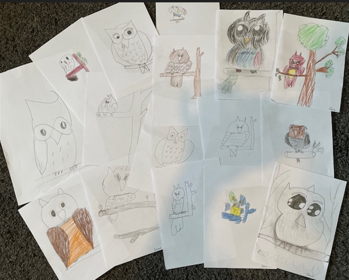 Our wise owls!
